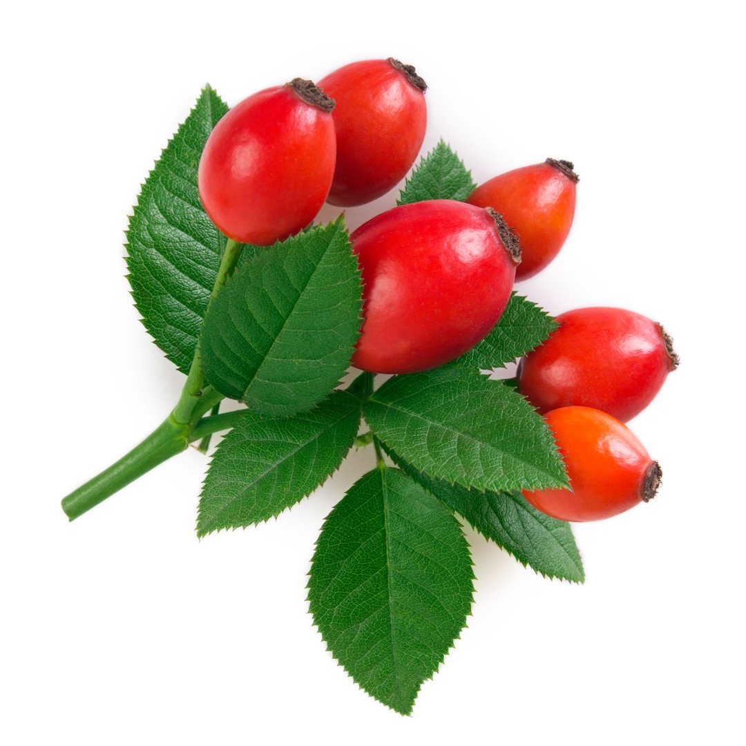 rosehip